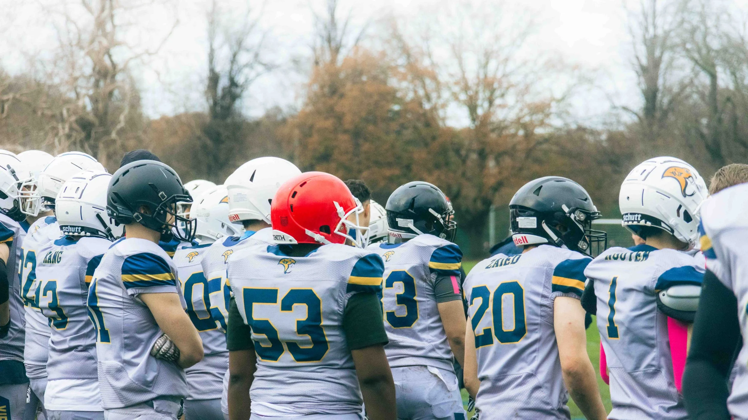 Group of American football players standing on a field, wearing helmets and jerseys, with trees in the background.