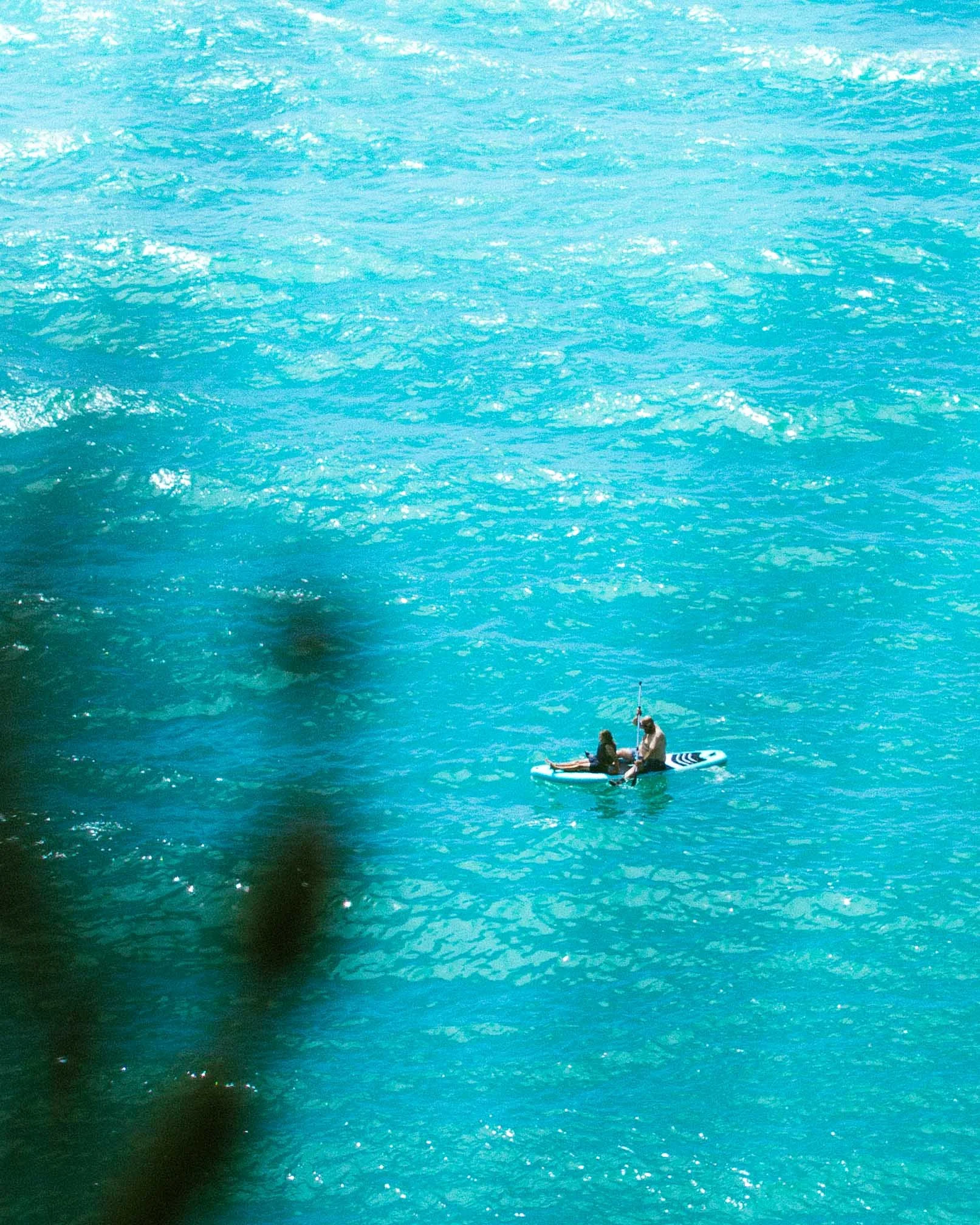 Two people paddleboarding on blue ocean water, viewed from above, with some dark foliage in the foreground.