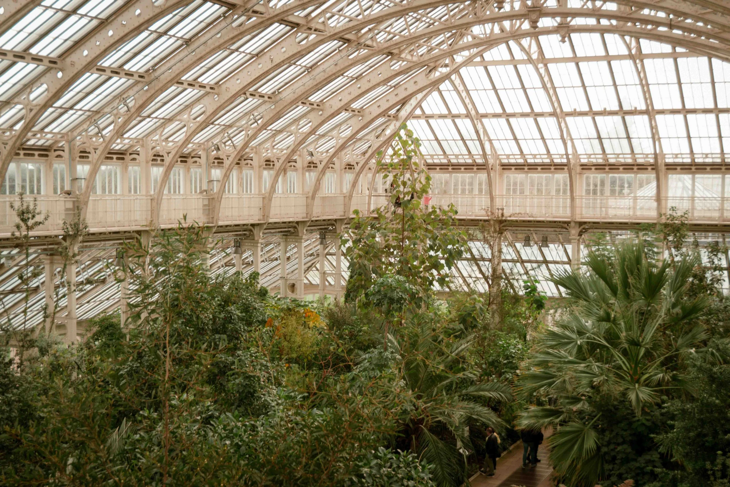 Inside a large greenhouse with a glass arched roof and white metal framework, filled with various green plants and trees, with a few people walking along a pathway.