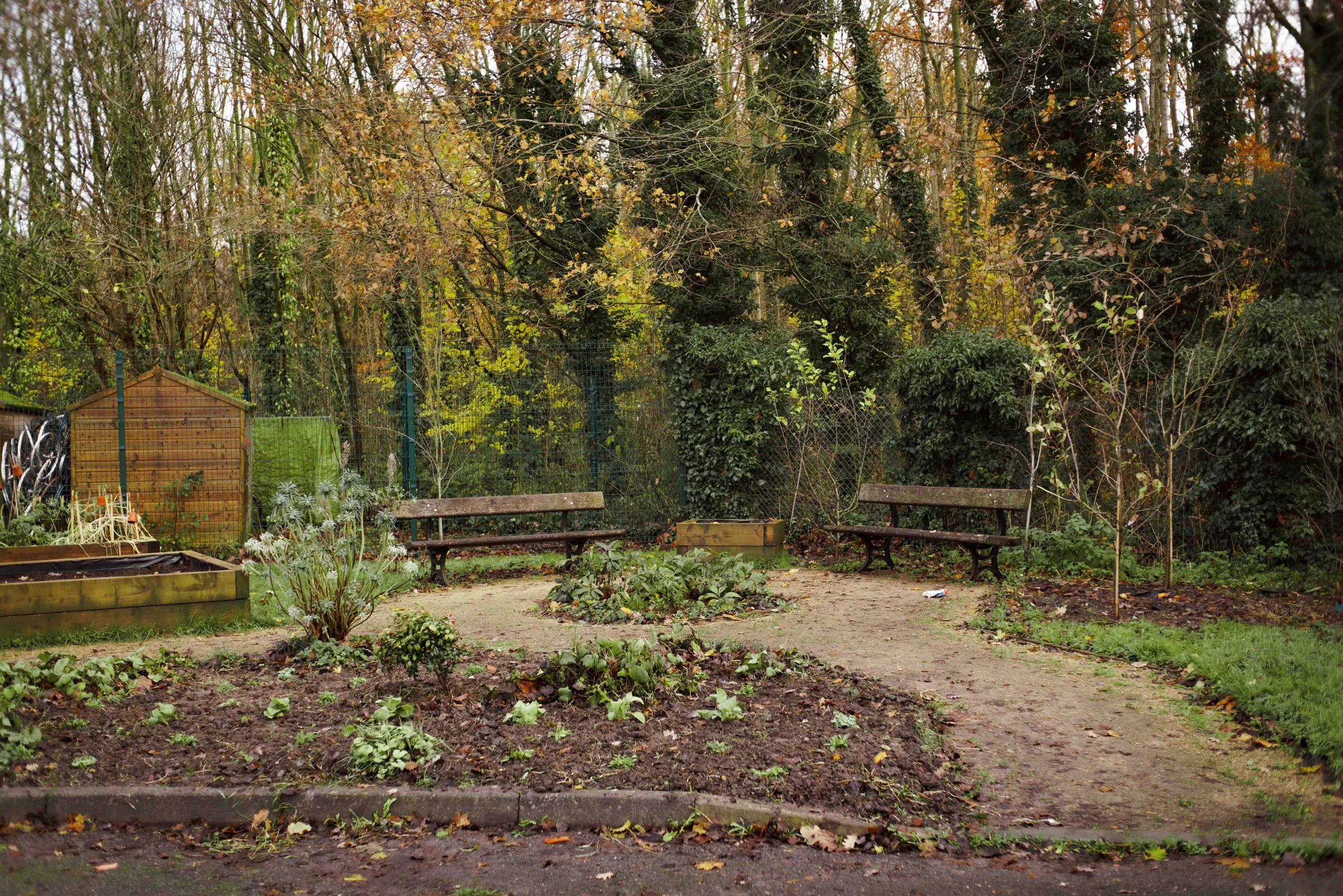 A small city park with benches, a pathway, plants, bushes, and trees, surrounded by a metal fence, during autumn with fallen leaves.