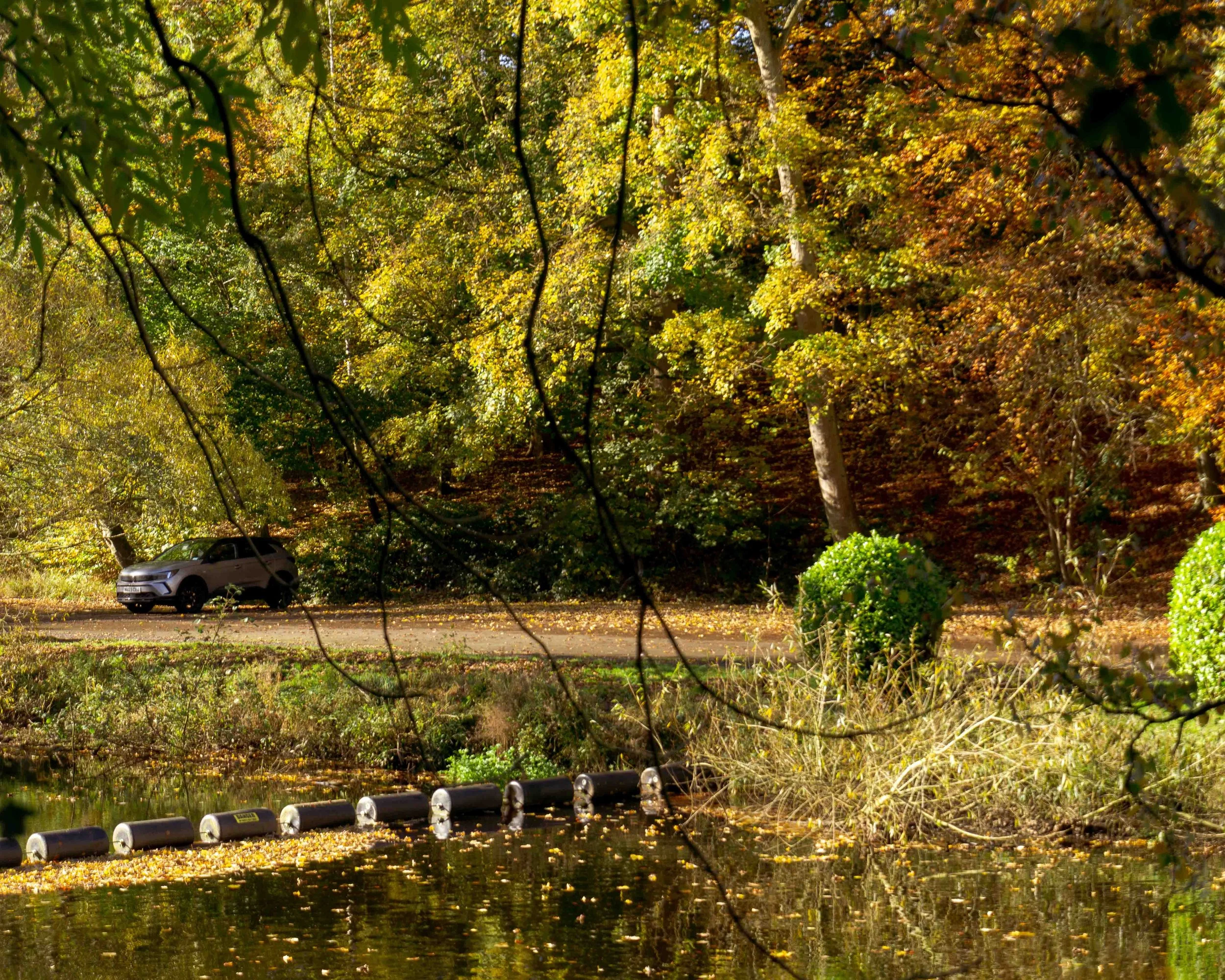 A car parked on a road next to a small pond in a forest with trees showing fall foliage.
