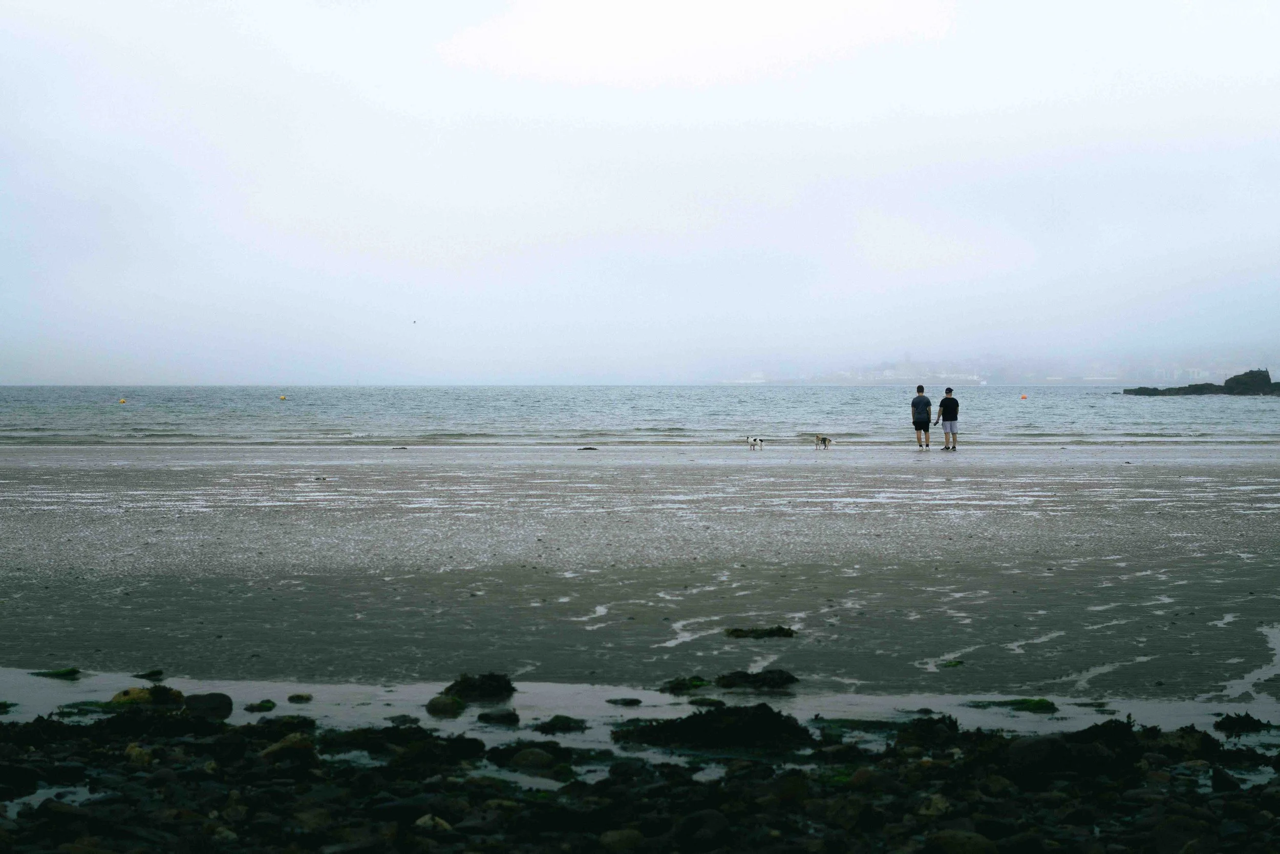 Two people walking on a beach with two dogs, looking out over the water on a cloudy day.