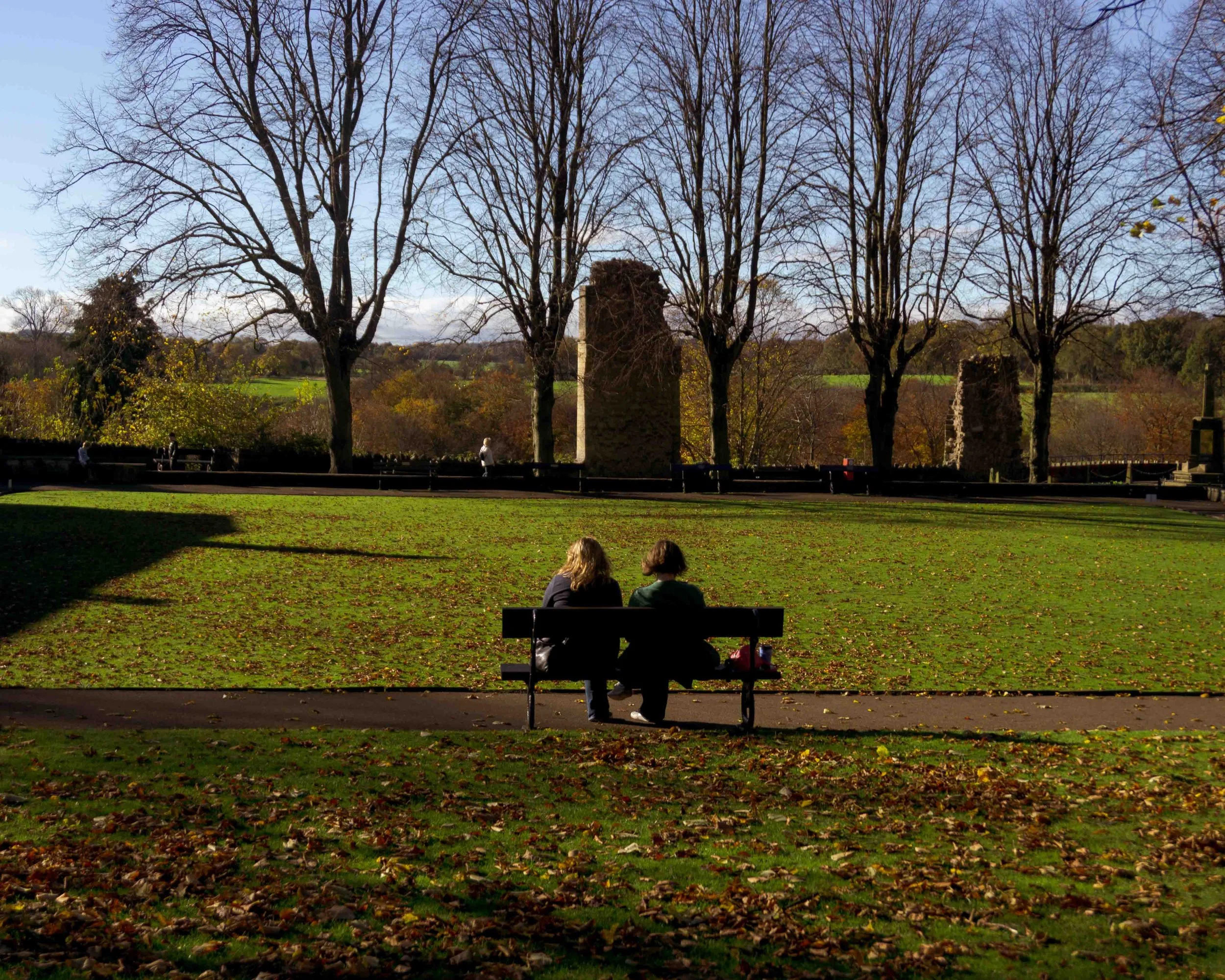 Two women sitting on a park bench under a large tree with bare branches in fall, surrounded by fallen leaves, with a background of other trees, some still with yellow leaves, and a distant landscape. Shadow covers part of the grass.