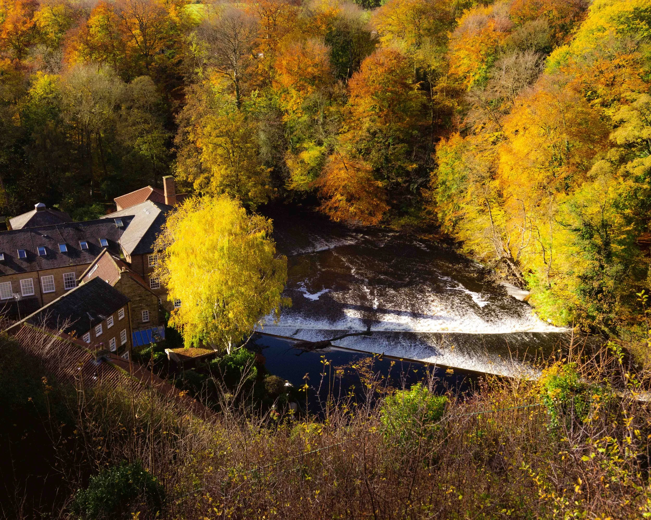 Aerial view of houses beside a river surrounded by trees with fall foliage in shades of yellow, orange, and green.