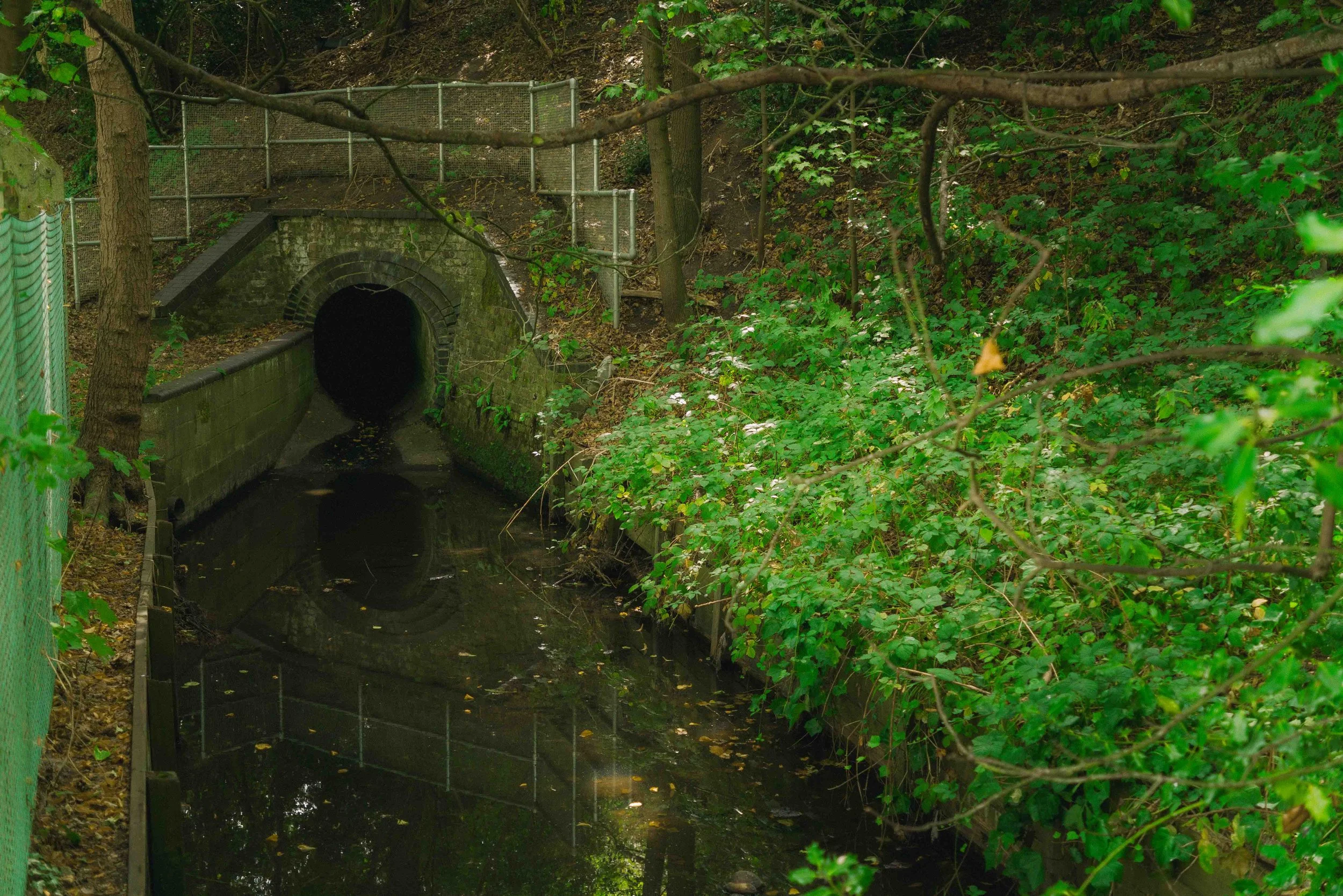 A small tunnel in a wooded area with dense green foliage, a fence on one side, and stagnant water in the drainage.
