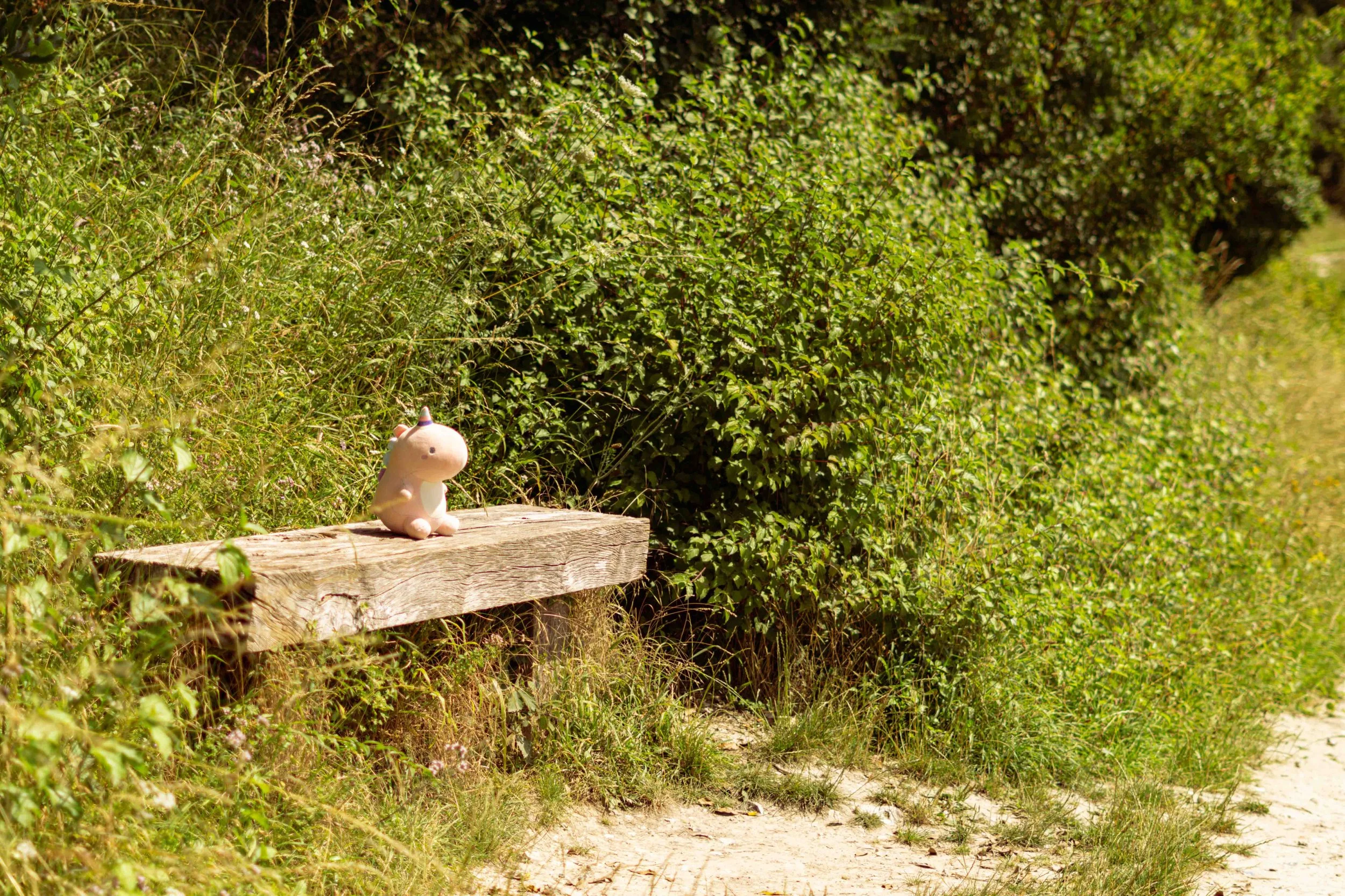 A small plush unicorn toy sitting on a weathered wooden bench surrounded by green bushes and grass along a dirt path in a sunny outdoor setting.