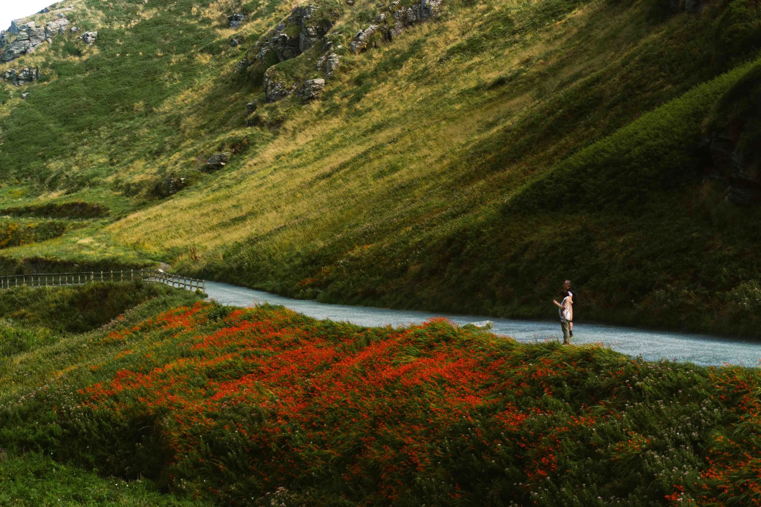 A person standing on a trail beside a river, surrounded by lush green hills and vibrant flowering plants.