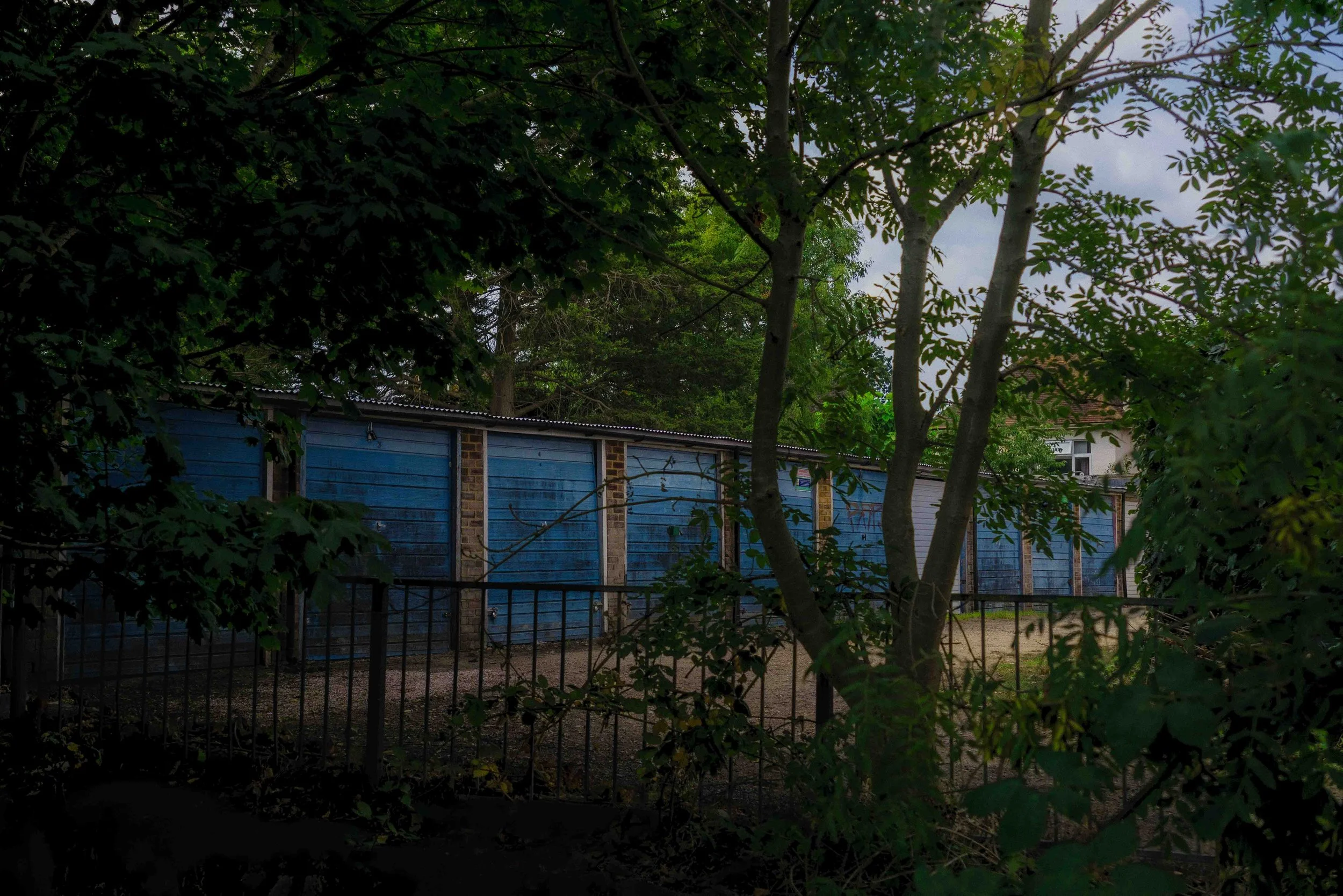 A row of blue garage doors behind trees and a black metal fence in a backyard or alleyway.