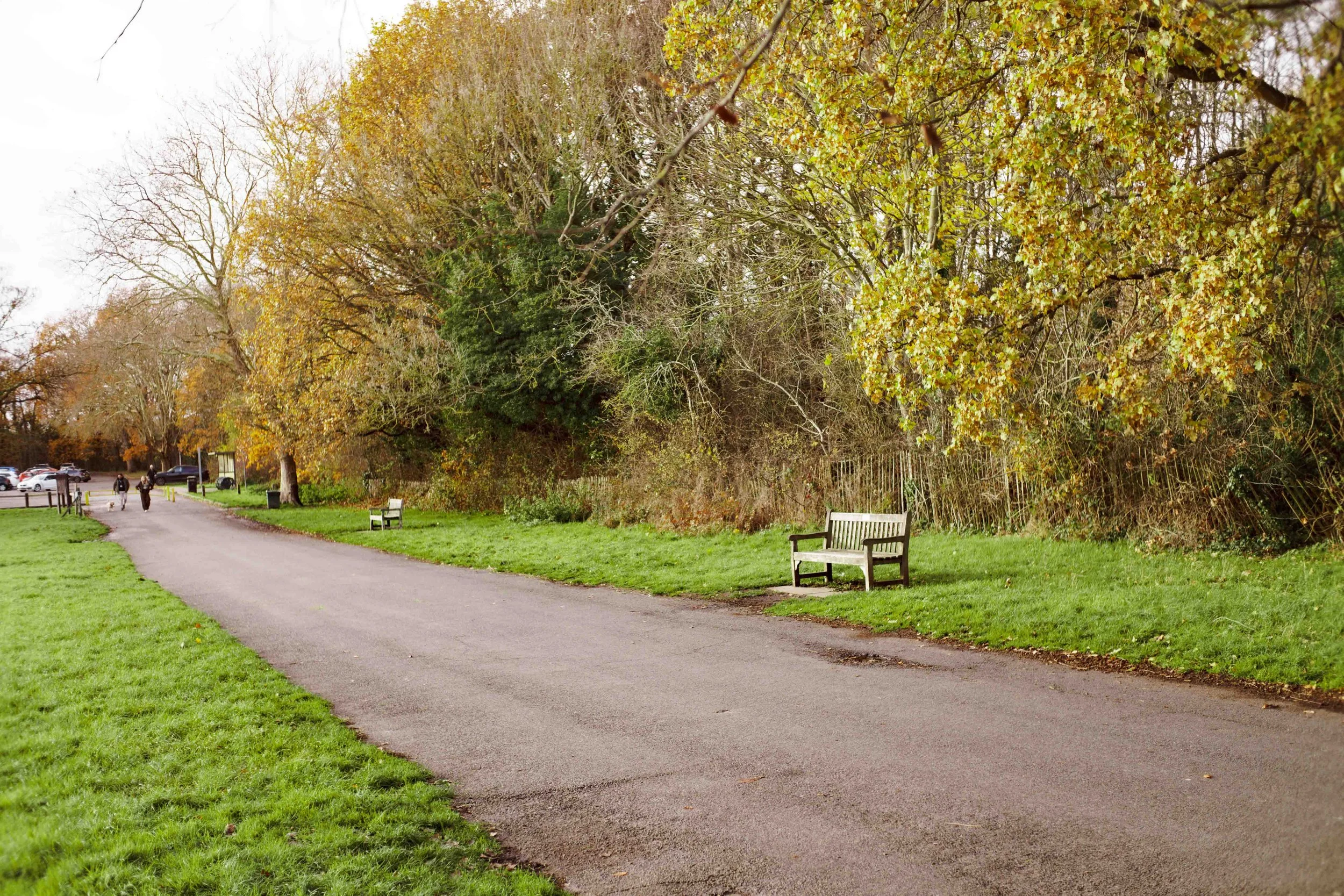 A park pathway lined with green grass and trees with yellow and brown leaves, with benches along the path and a few people walking in the distance on overcast day.