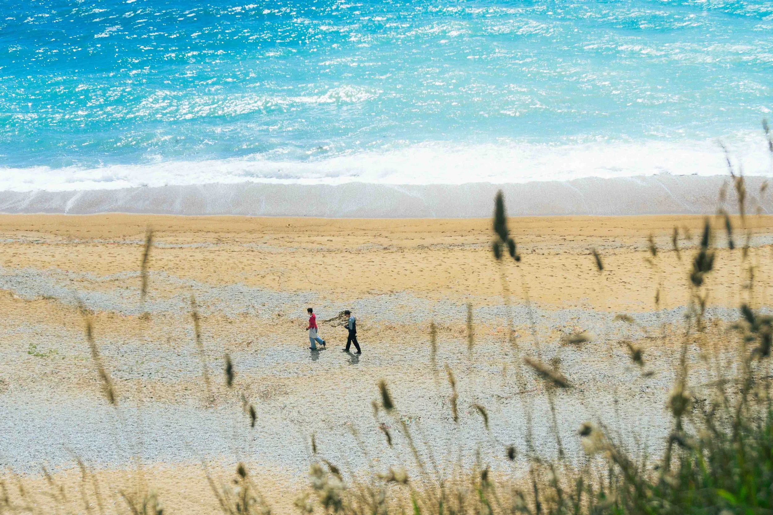 Two people walking on a sandy beach with waves approaching the shore, seen through some plants in the foreground.