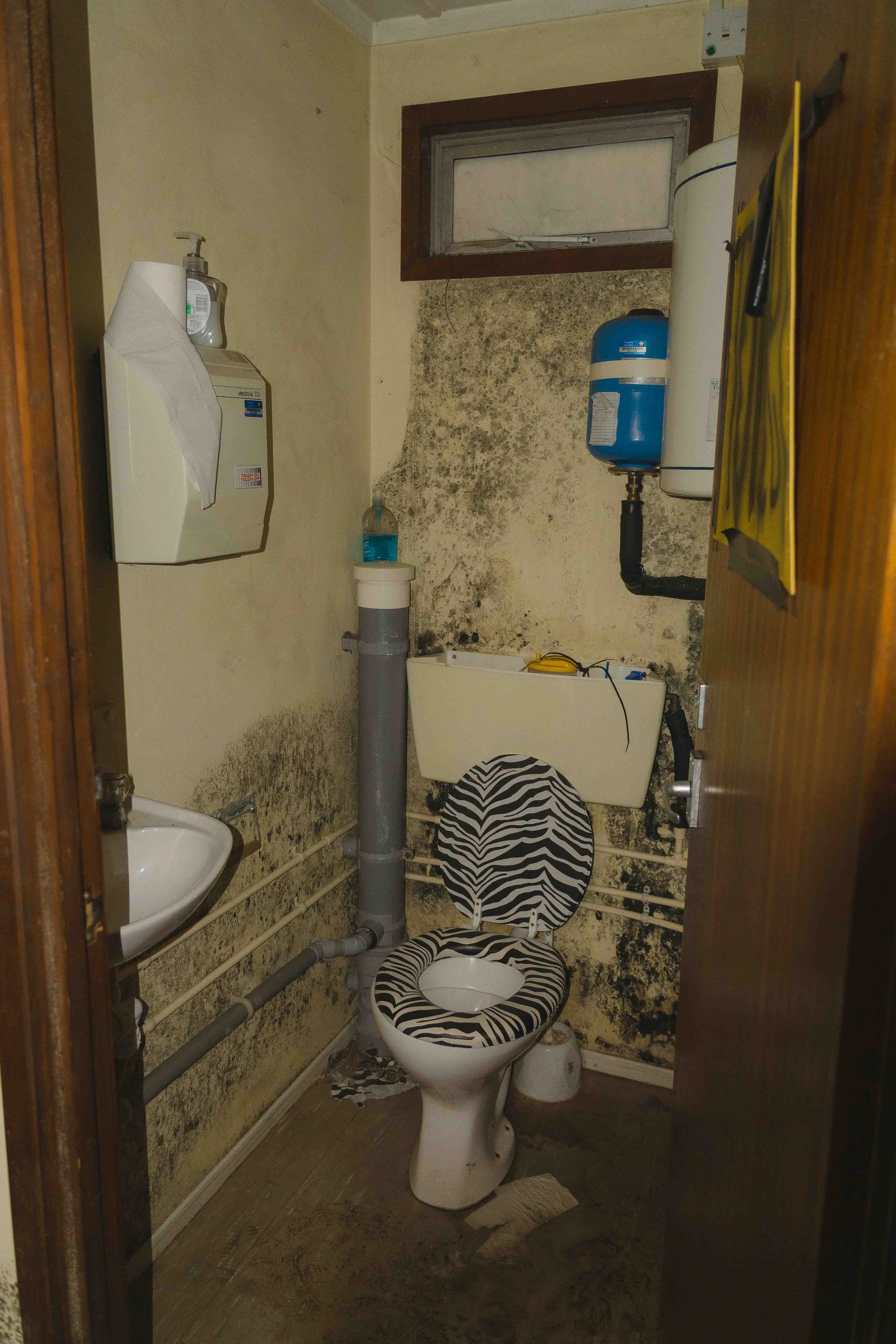 A small, cluttered bathroom with mold-stained yellow walls, a zebra-striped toilet seat, and black mold on the walls behind the toilet and sink.