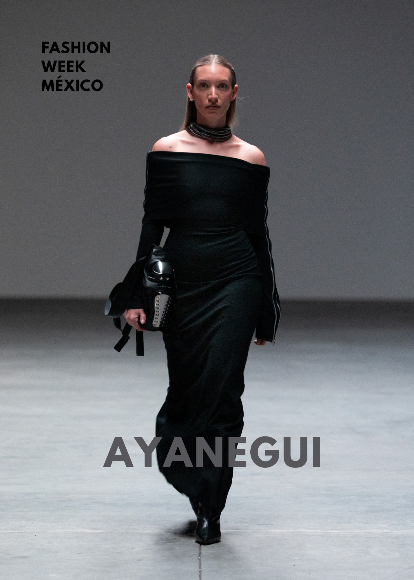 COMPO FER ZOGO BOOK 3.PNG