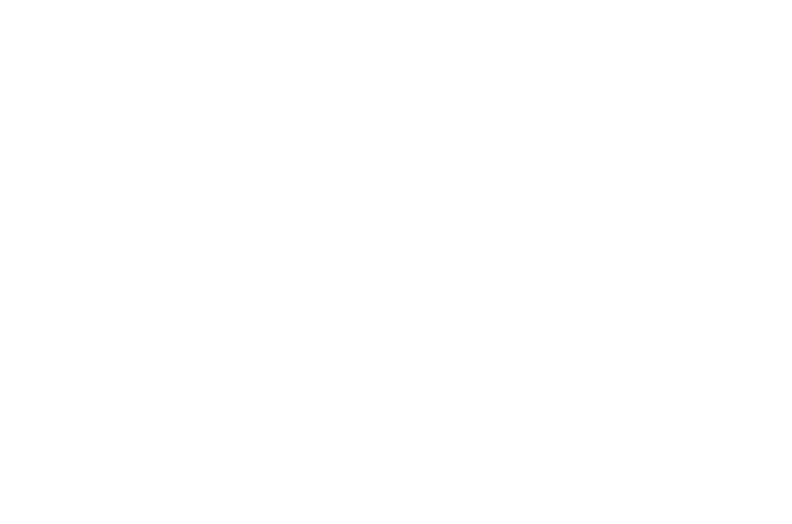 BAAC White.png