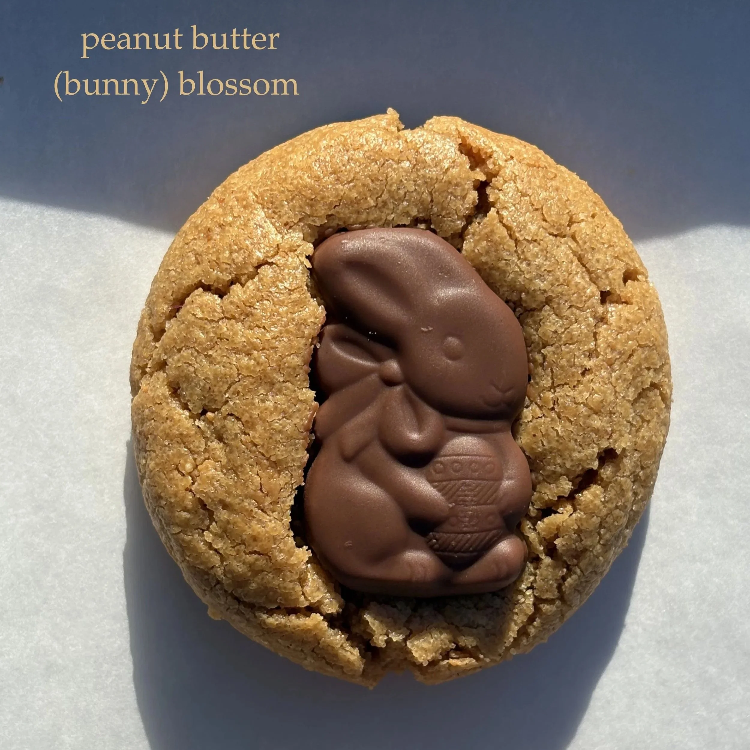 A round oatmeal cookie with a cracked surface, containing a large chocolate bunny shaped treat in the center.