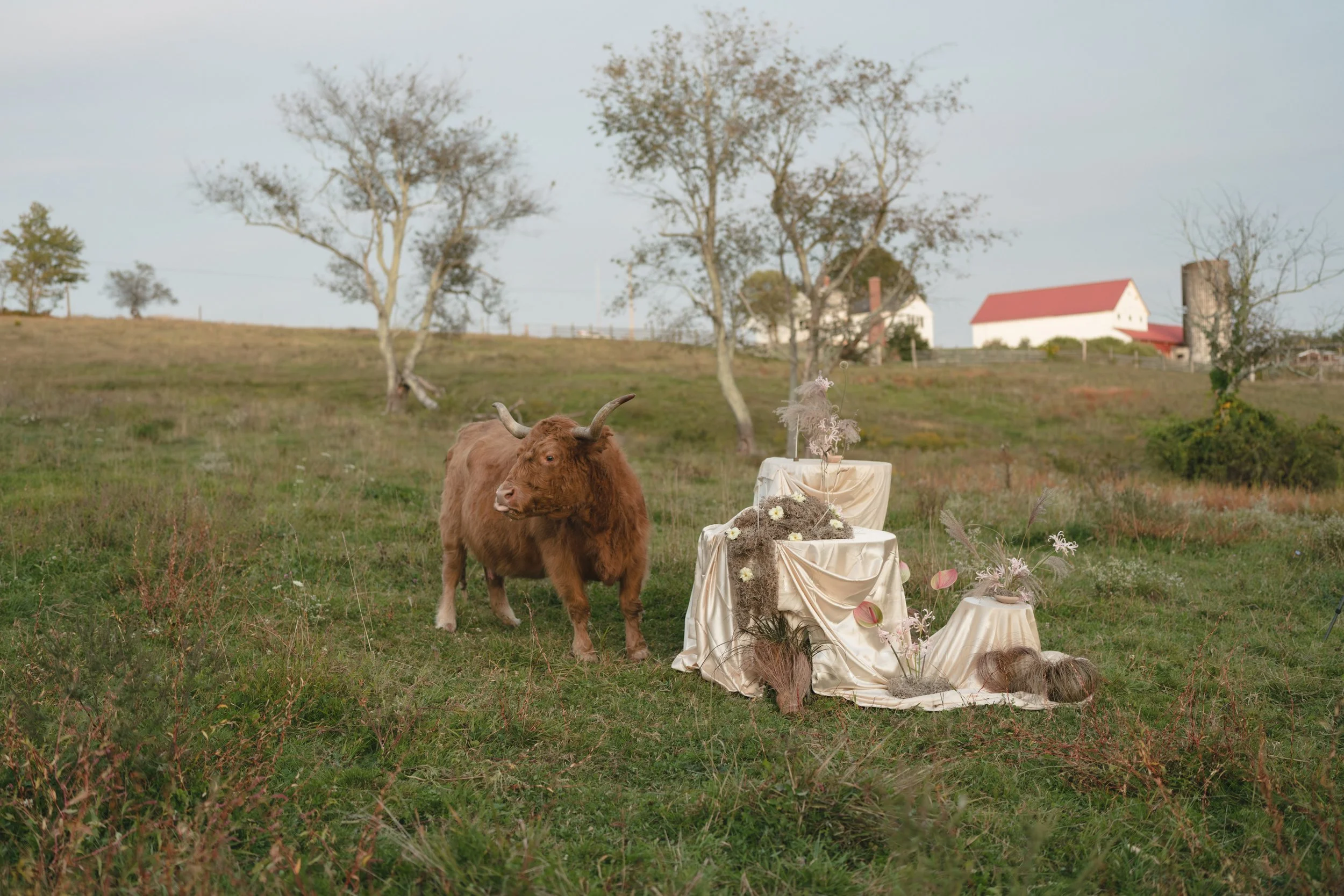 Laurie’s customers, Mariana and Carmen holding hands on a green lawn on their wedding day.