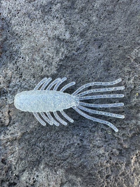 River Frost Backwater Bug - 4 Pack