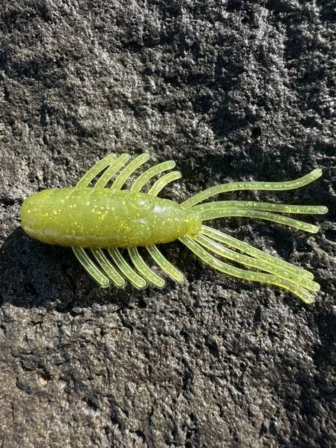 Outback Olive Backwater Bug.jpeg