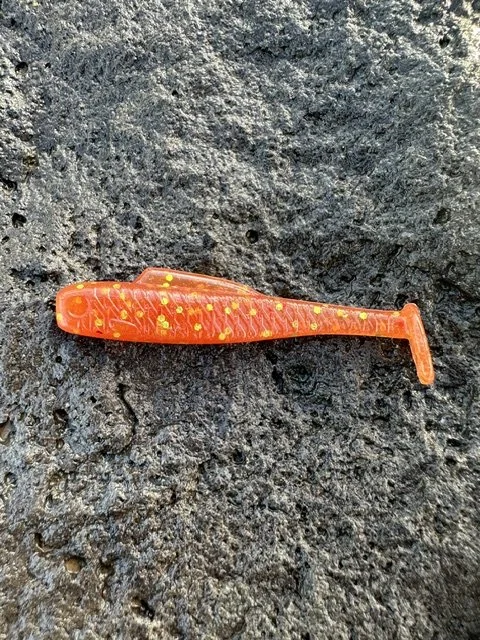 2.5" Redgum Fury River Runner