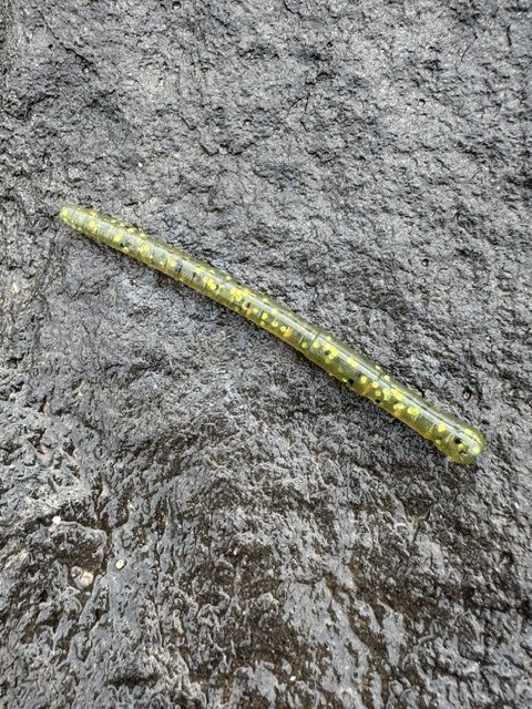River Gold Worm - 6 Pack