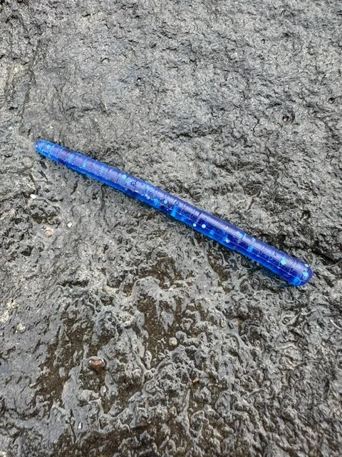 Billabong Blue Worm - 6 Pack