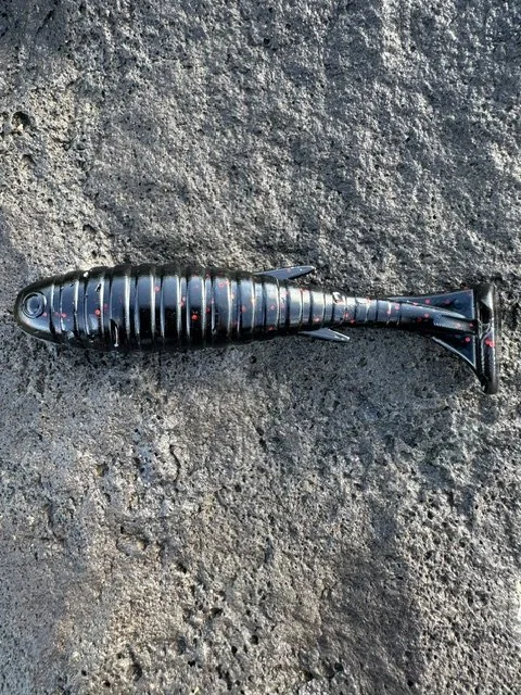Redback Cod Thumper.jpeg