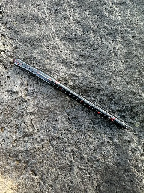 Redback Worm.jpeg