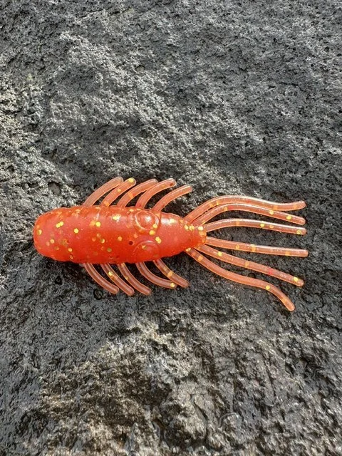 Redgum Fury Backwater Bug - 4 Pack