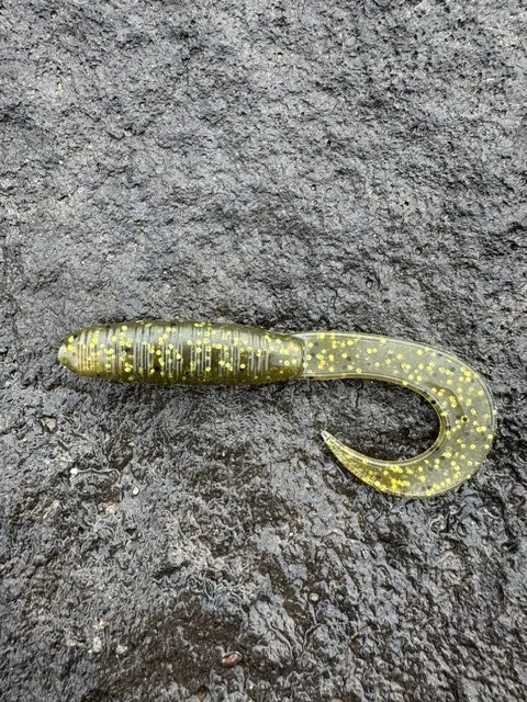 River Gold Grub - 6 Pack