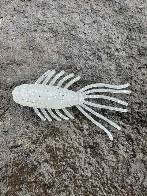 Ghost Bait Backwater Bug - 4 Pack