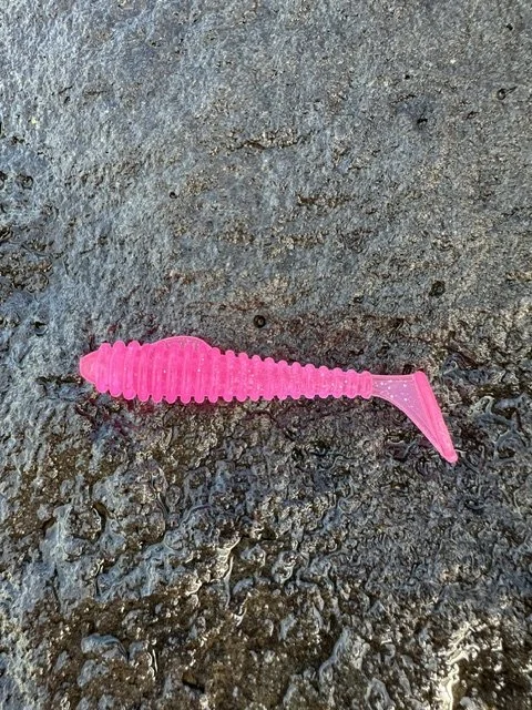Fluro Fury.jpeg
