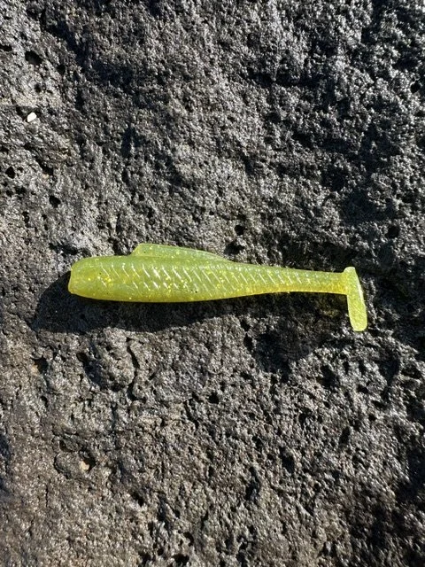 Outback Olive River Runner.jpeg