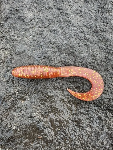 Redgum Fury Grub - 6 Pack