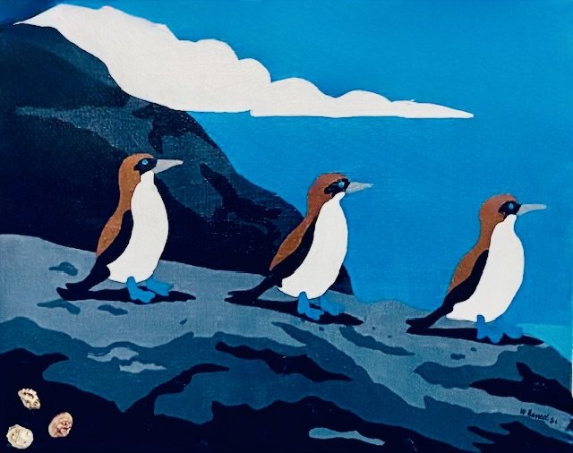 Blue Footed Boobies