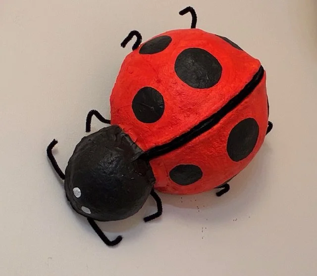 Lucky Ladybug