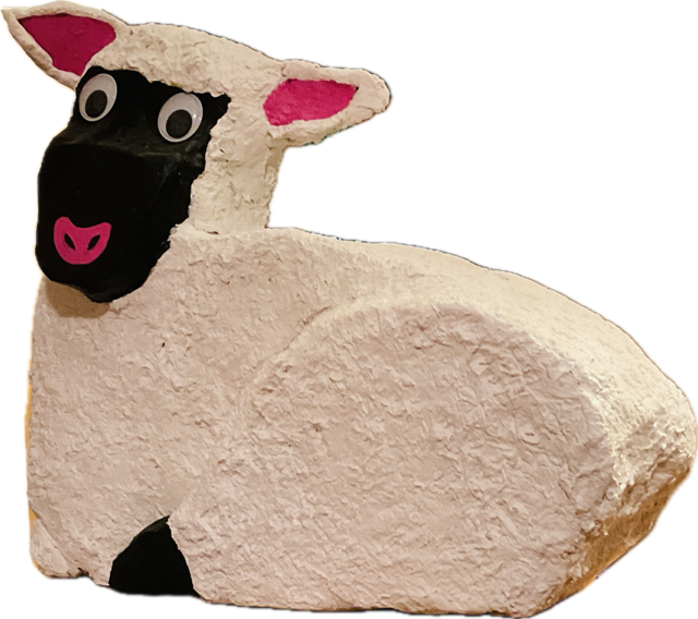 Pink Nosed Sheep