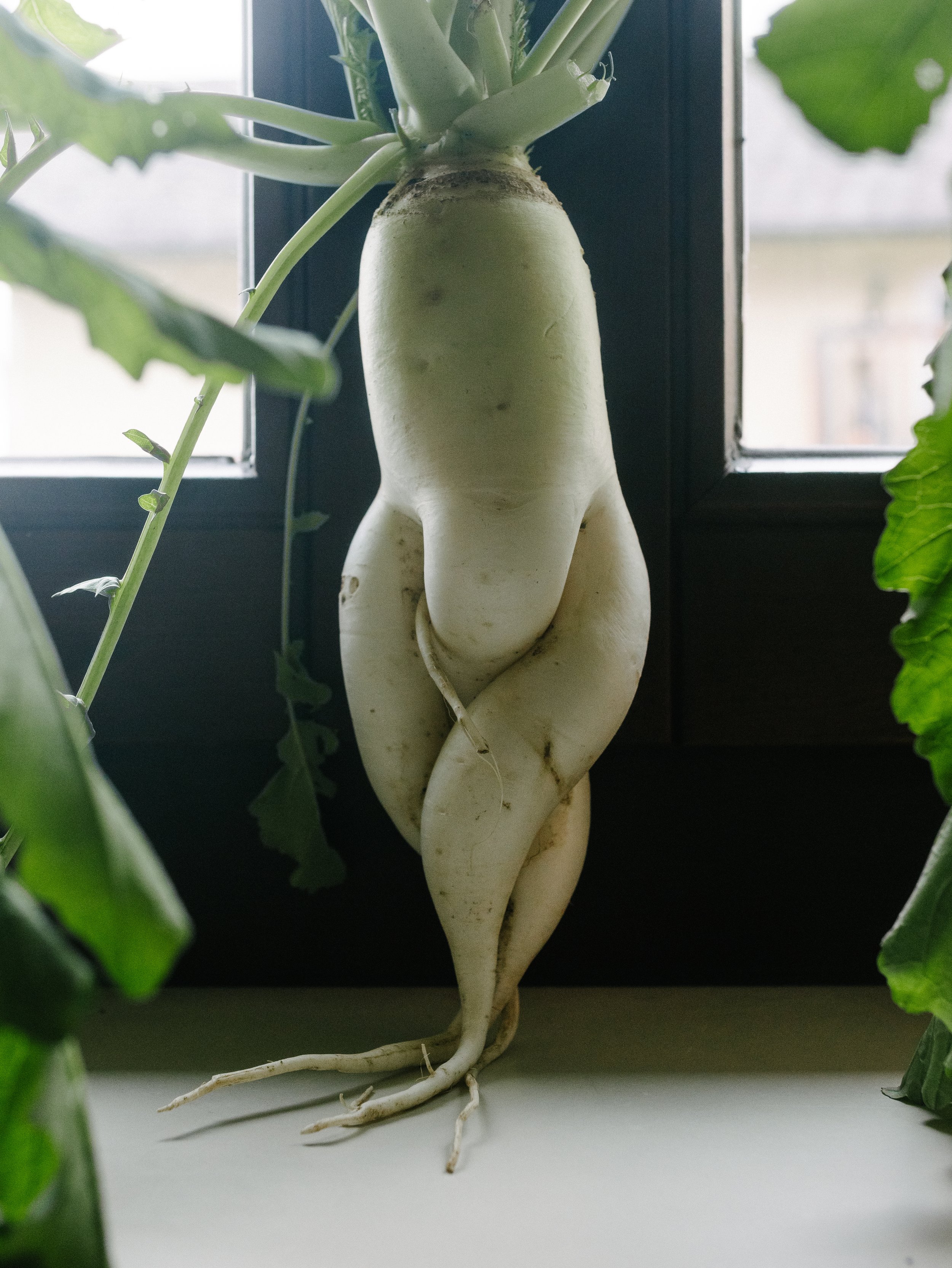 Wedding Helena Michael (C) Zanshin Kuge-1167320.jpg