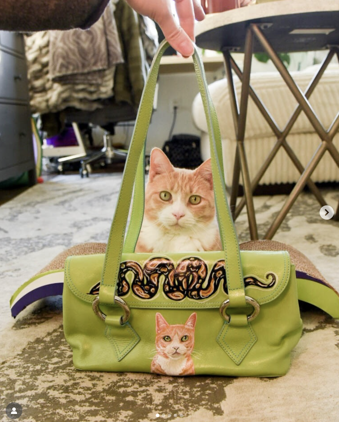 A ginger and white cat sitting behind a small green handbag with a picture of a cat on the front, on a patterned rug in a living room.