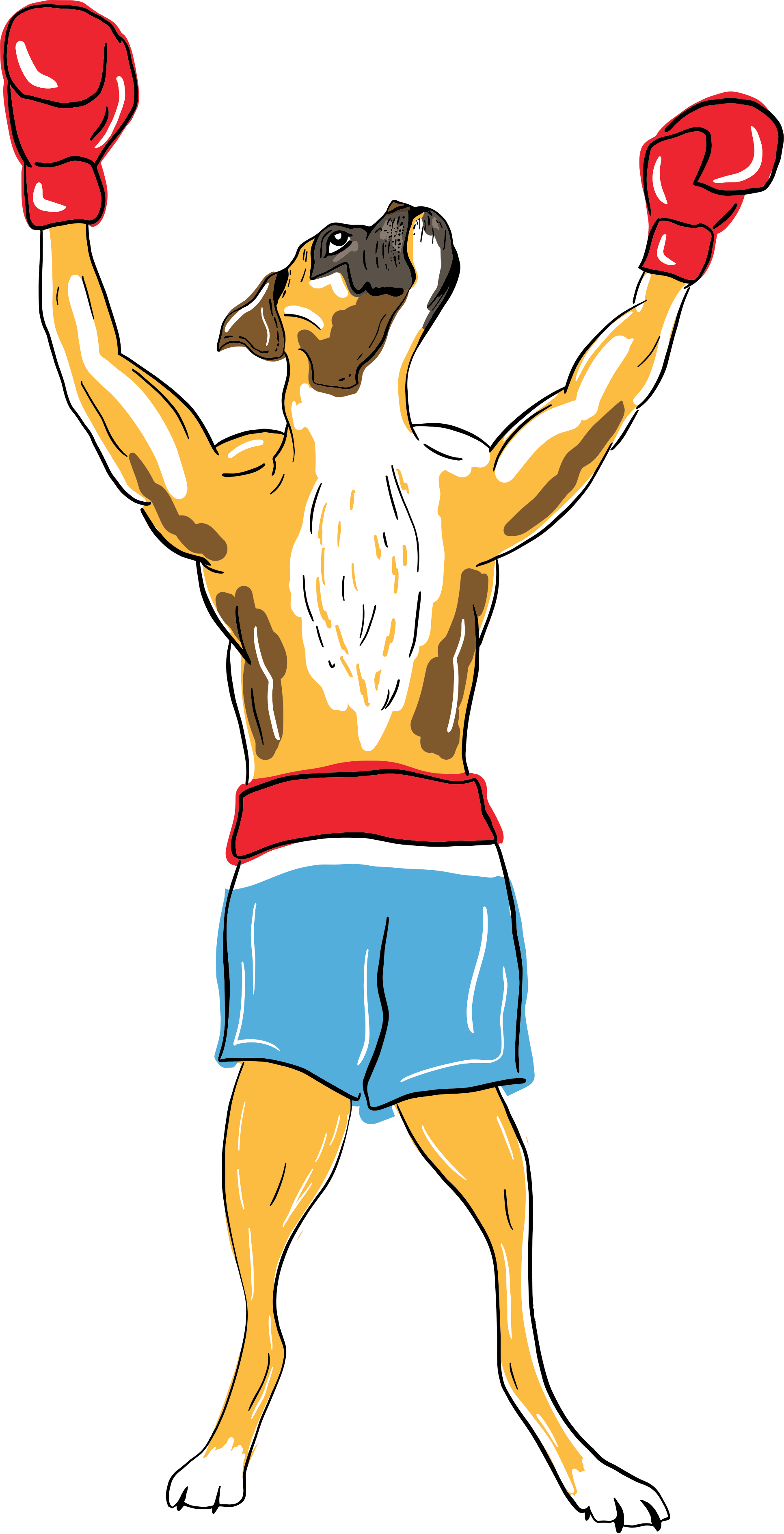 A cartoon dog with a muscular human body wearing boxing gloves, red boxing shorts, and blue shorts underneath, standing in a fighting stance with arms raised.