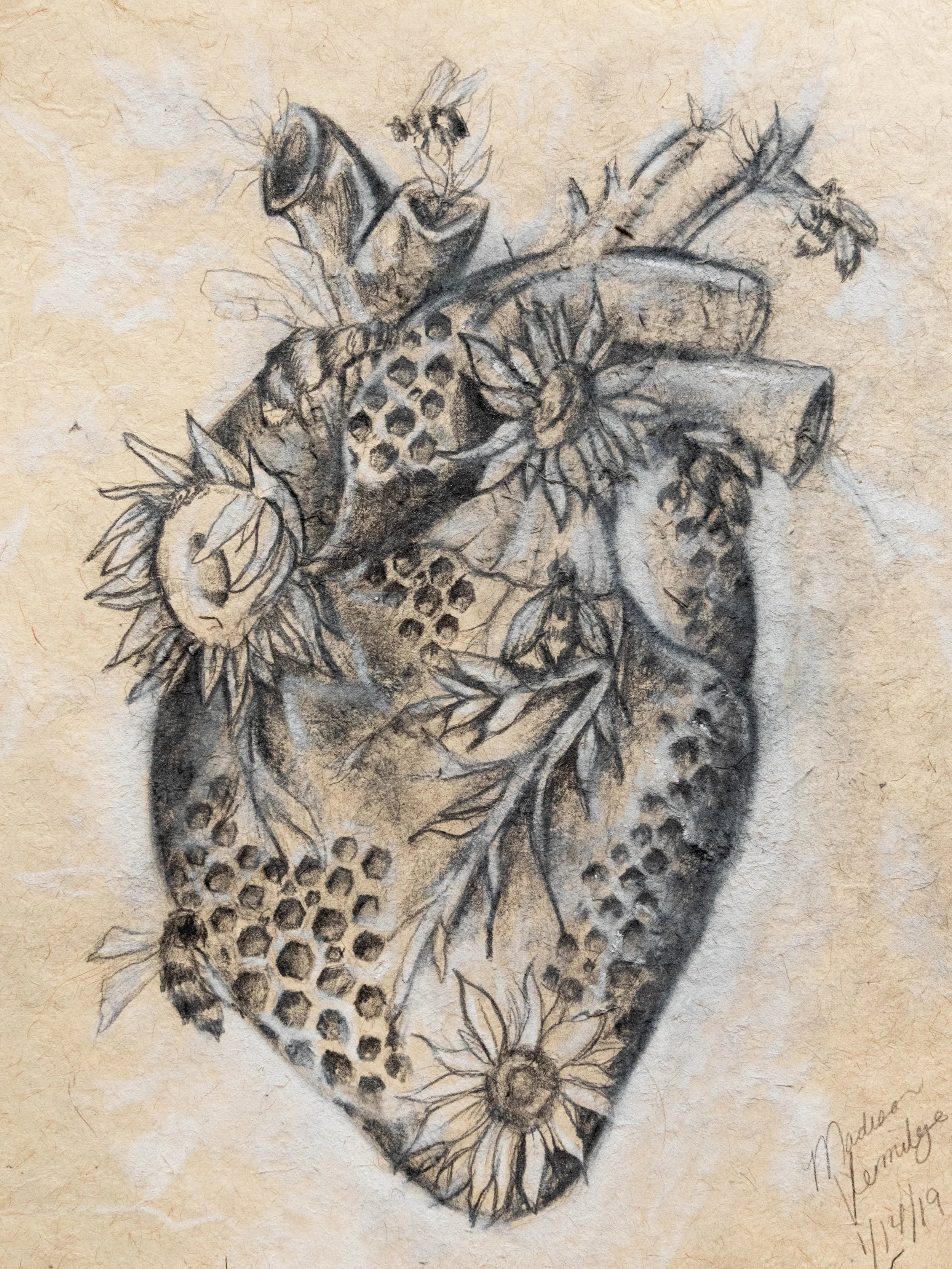 Print- Anatomical Honey Comb Heart