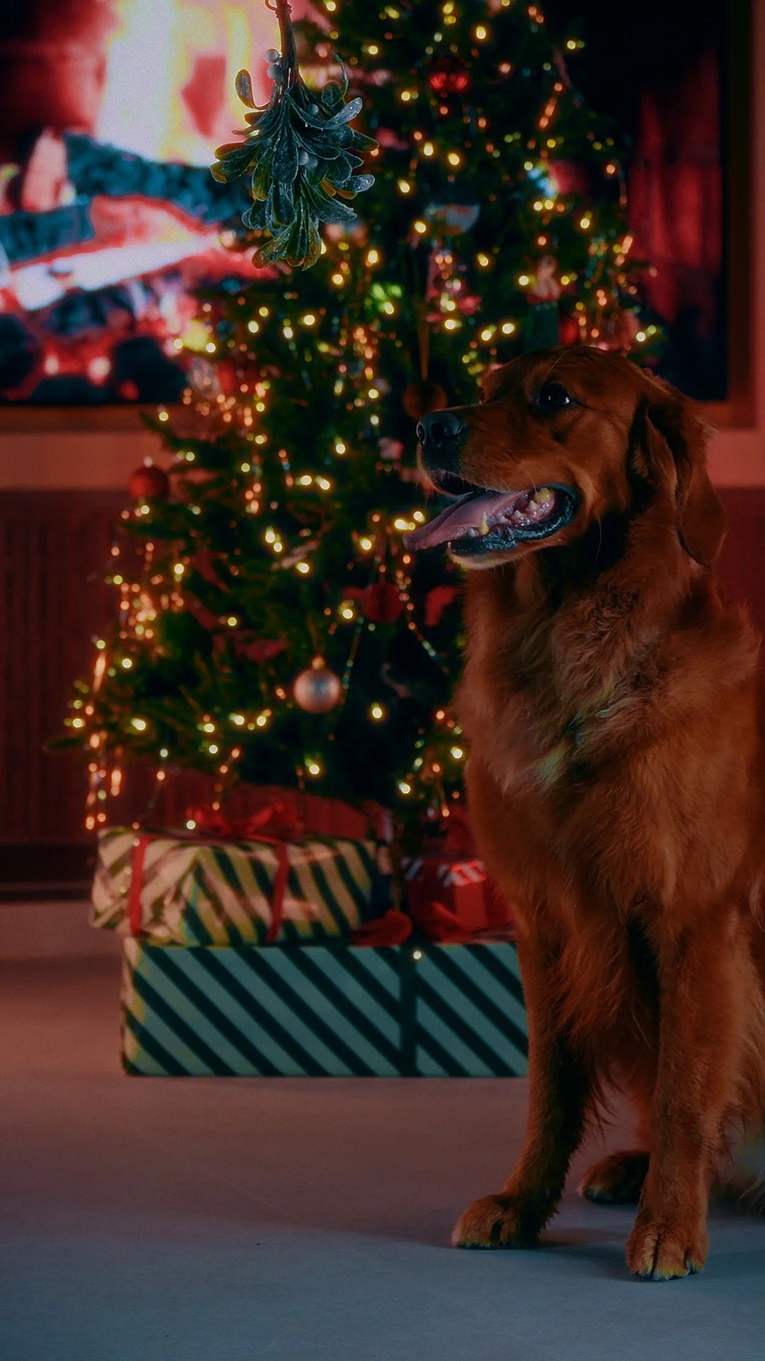 A golden retriever sitting in front of a decorated Christmas tree with lights and ornaments, with presents underneath the tree. Butternutbox Christmas.