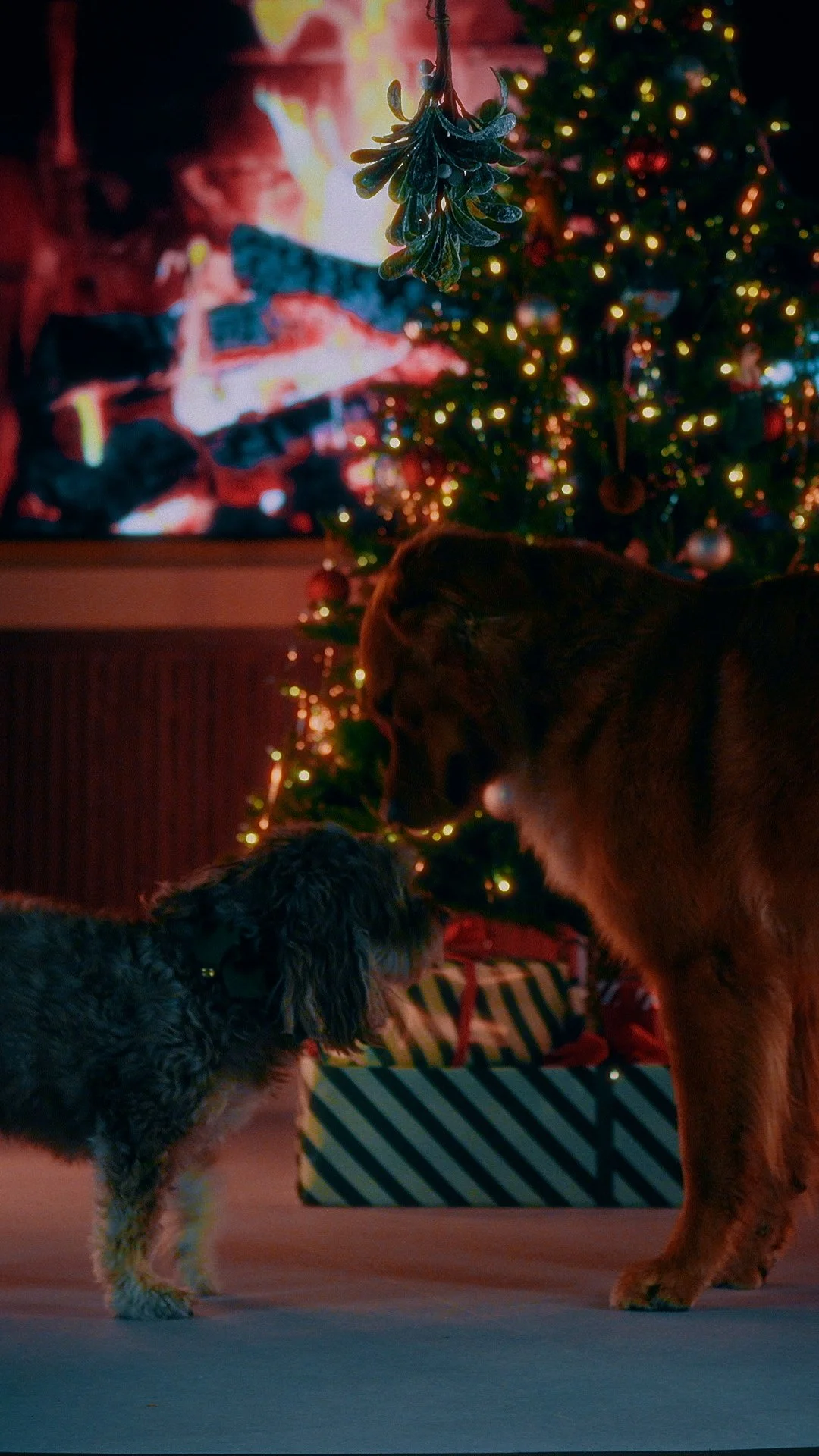Two dogs, a small curly-haired dog and a large long-haired dog, standing in front of a decorated Christmas tree with lights and ornaments, with wrapped gifts underneath.