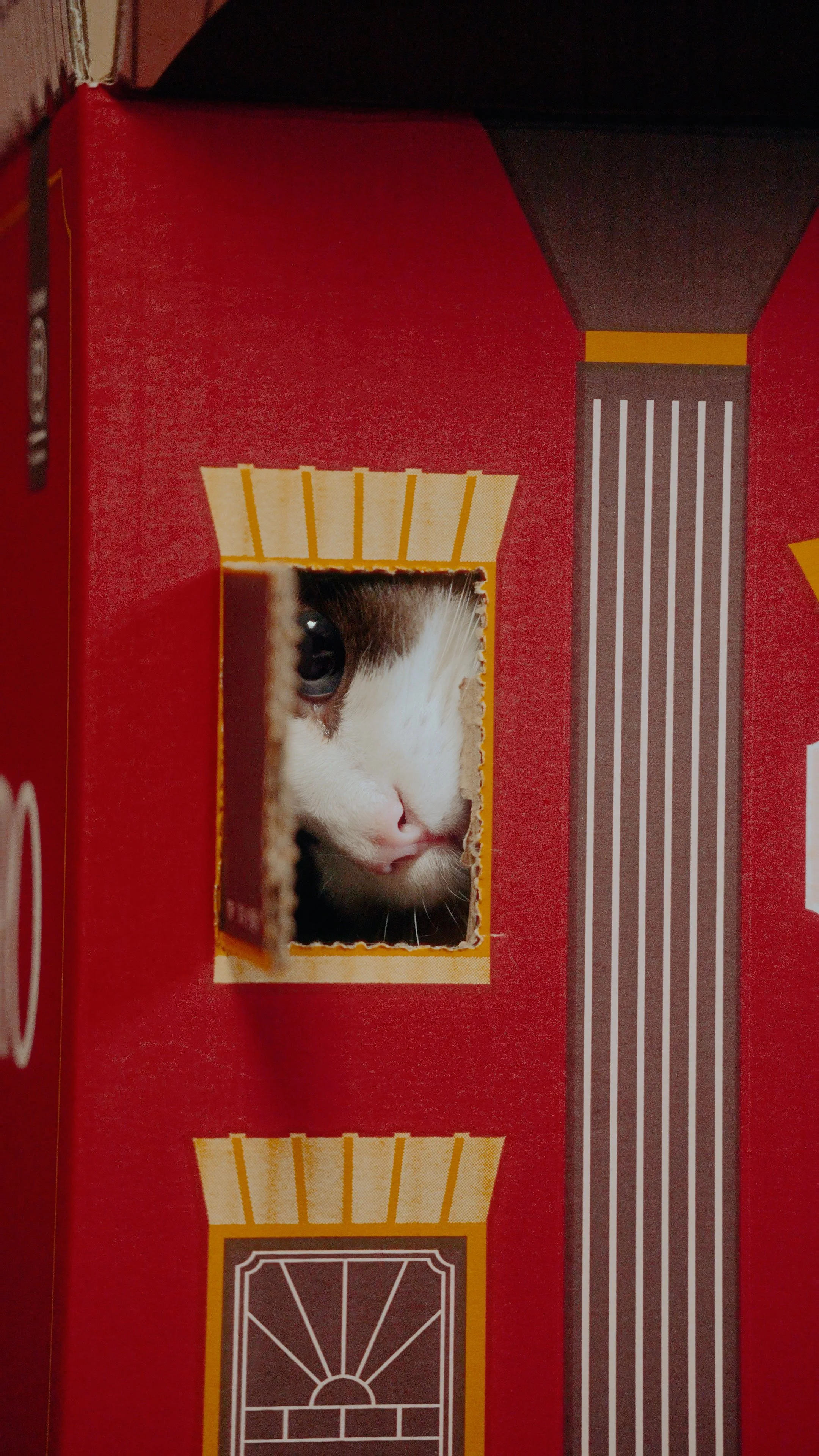 A cat peeking through a small rectangular hole in a red cardboard box designed to look like a house, with details resembling windows and a door.