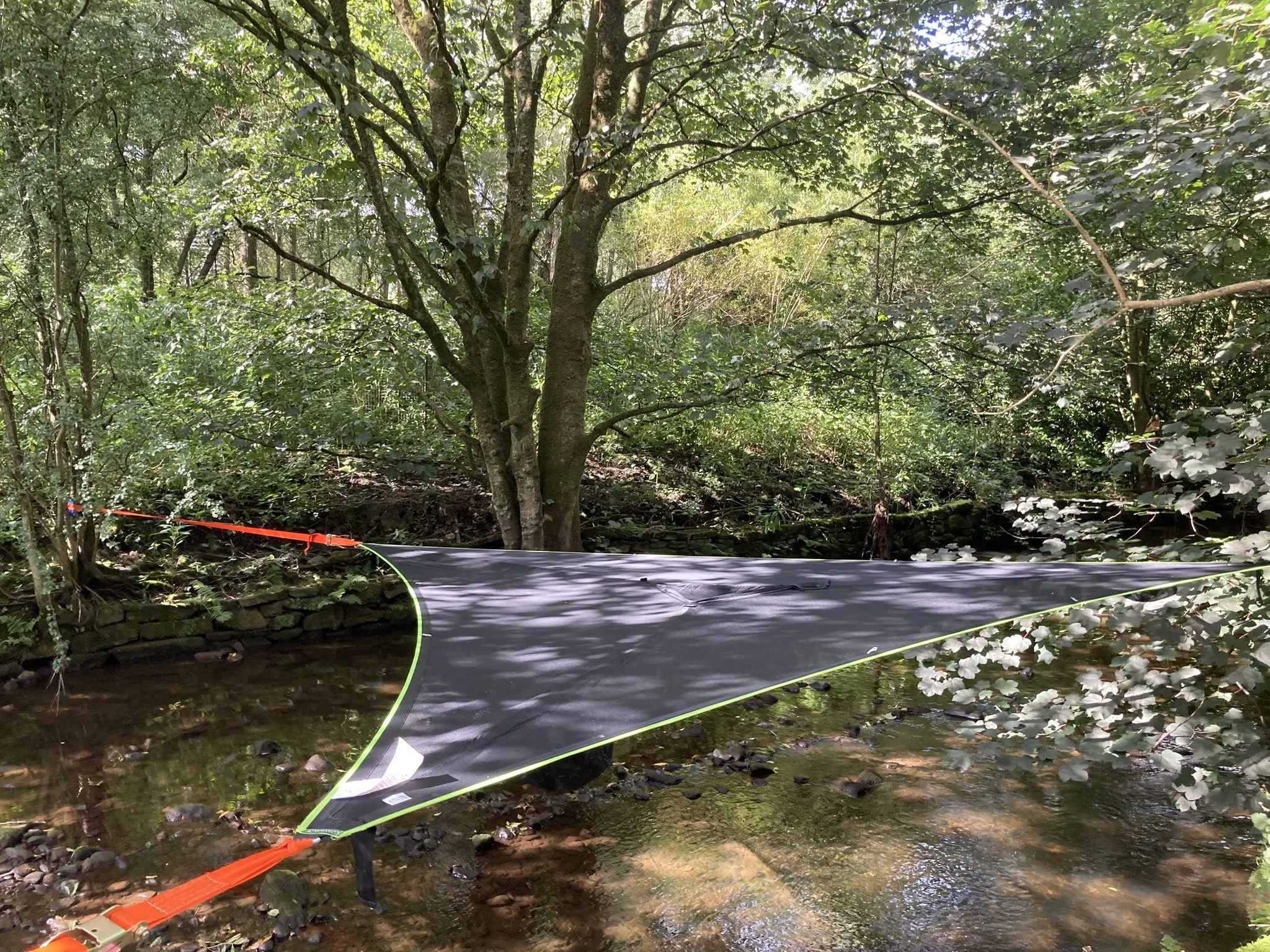 An outdoor scene with a small stream in a wooded area. A black and green hammock is suspended across the stream, tied to trees on either side.