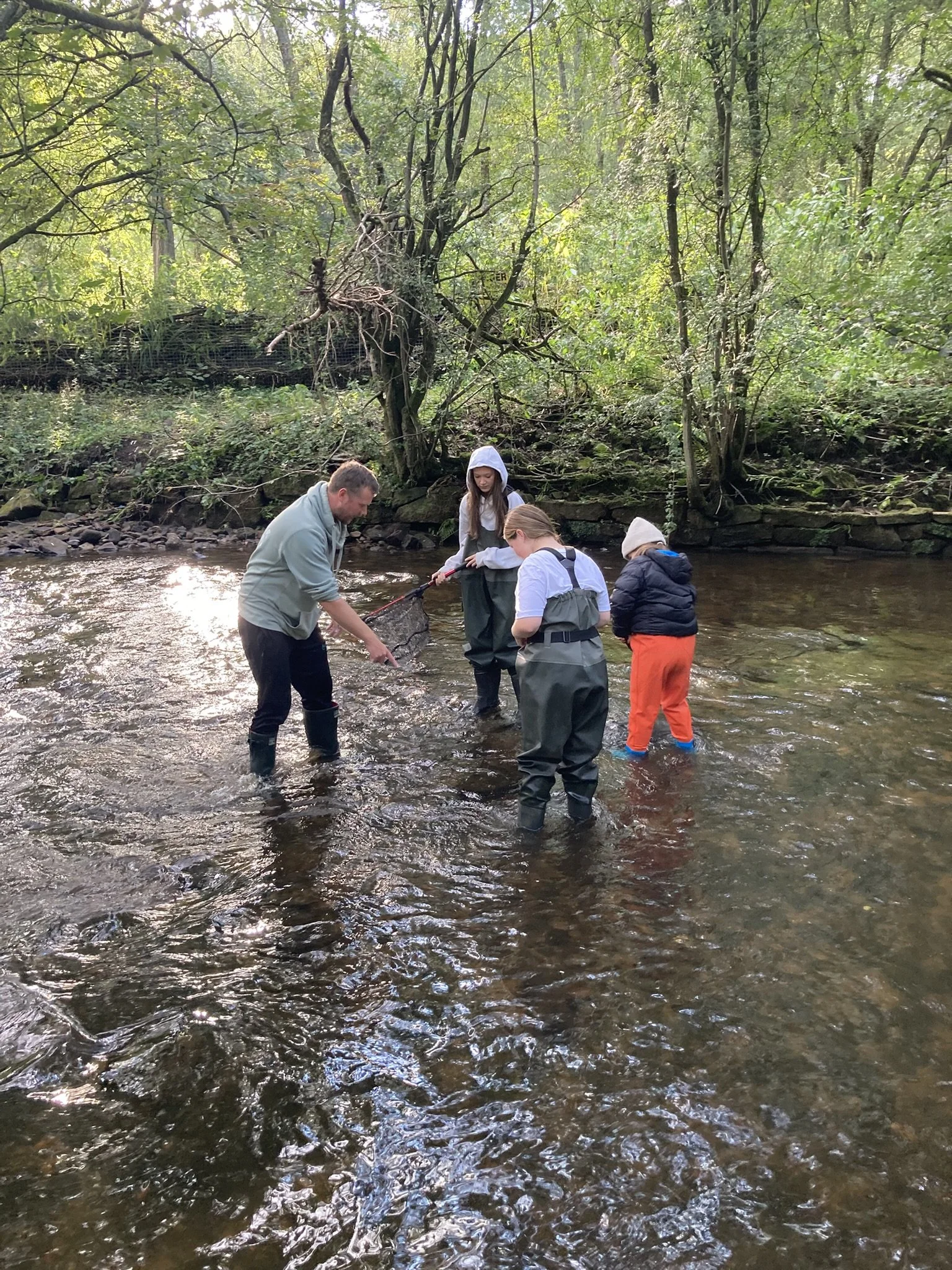 Four people, including an adult and three children, collecting water samples from a shallow stream in a wooded area, with lush green trees and foliage overhead.