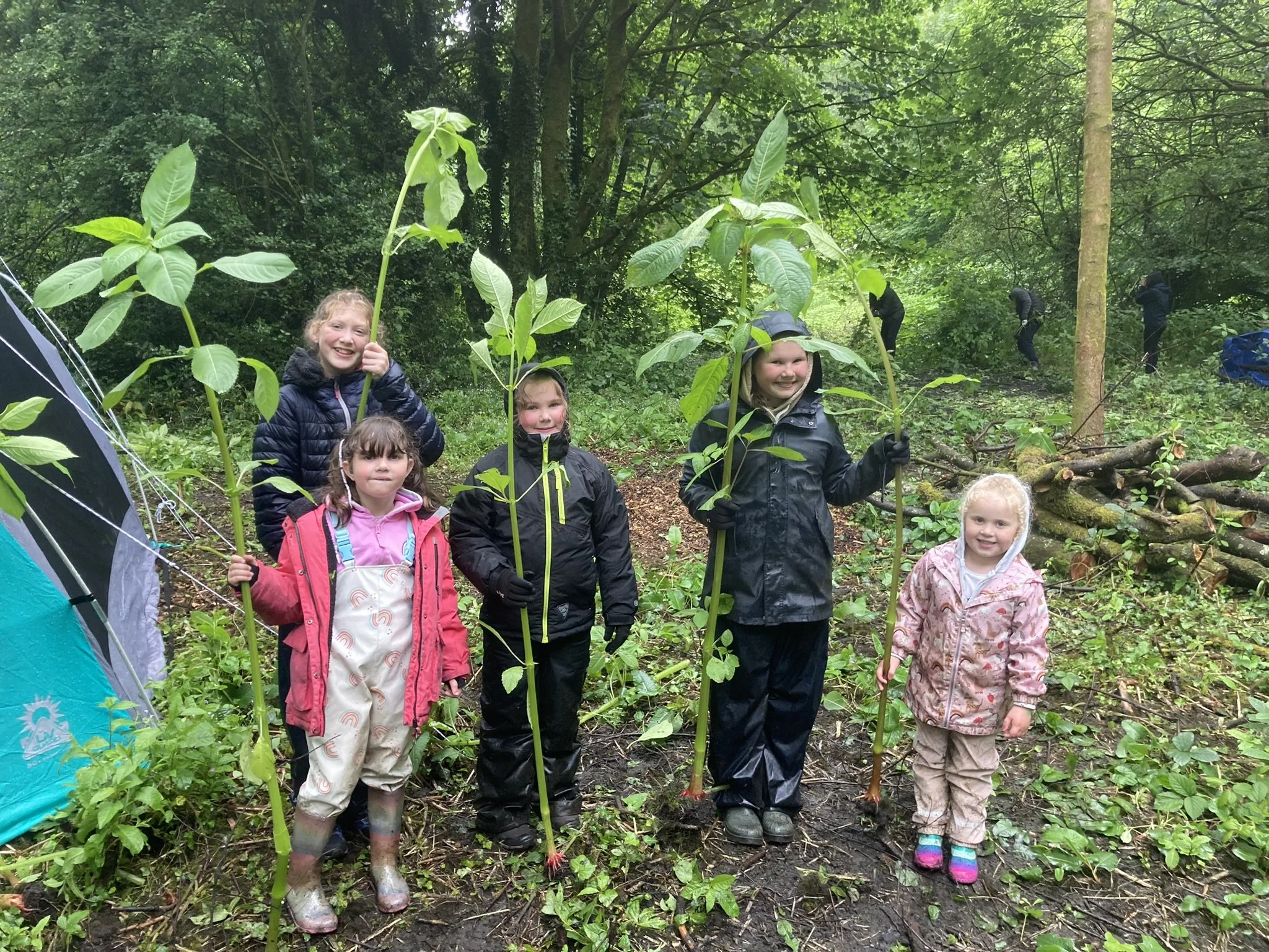 Group of young children holding tall plant cuttings in a forested area with greenery, trees, and logs in the background.