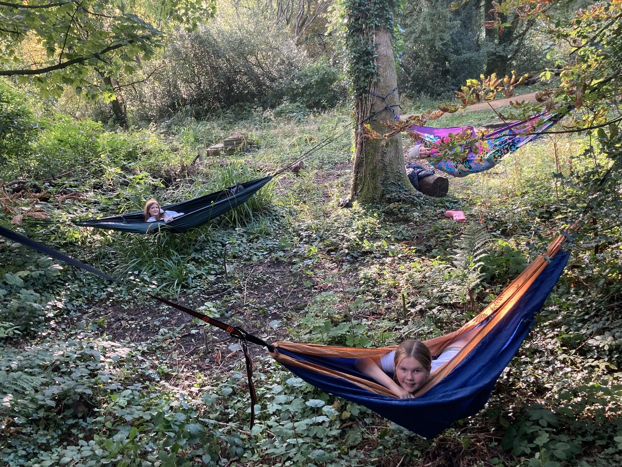 Three children lying in colorful hammocks tied between trees in a lush, green forest.
