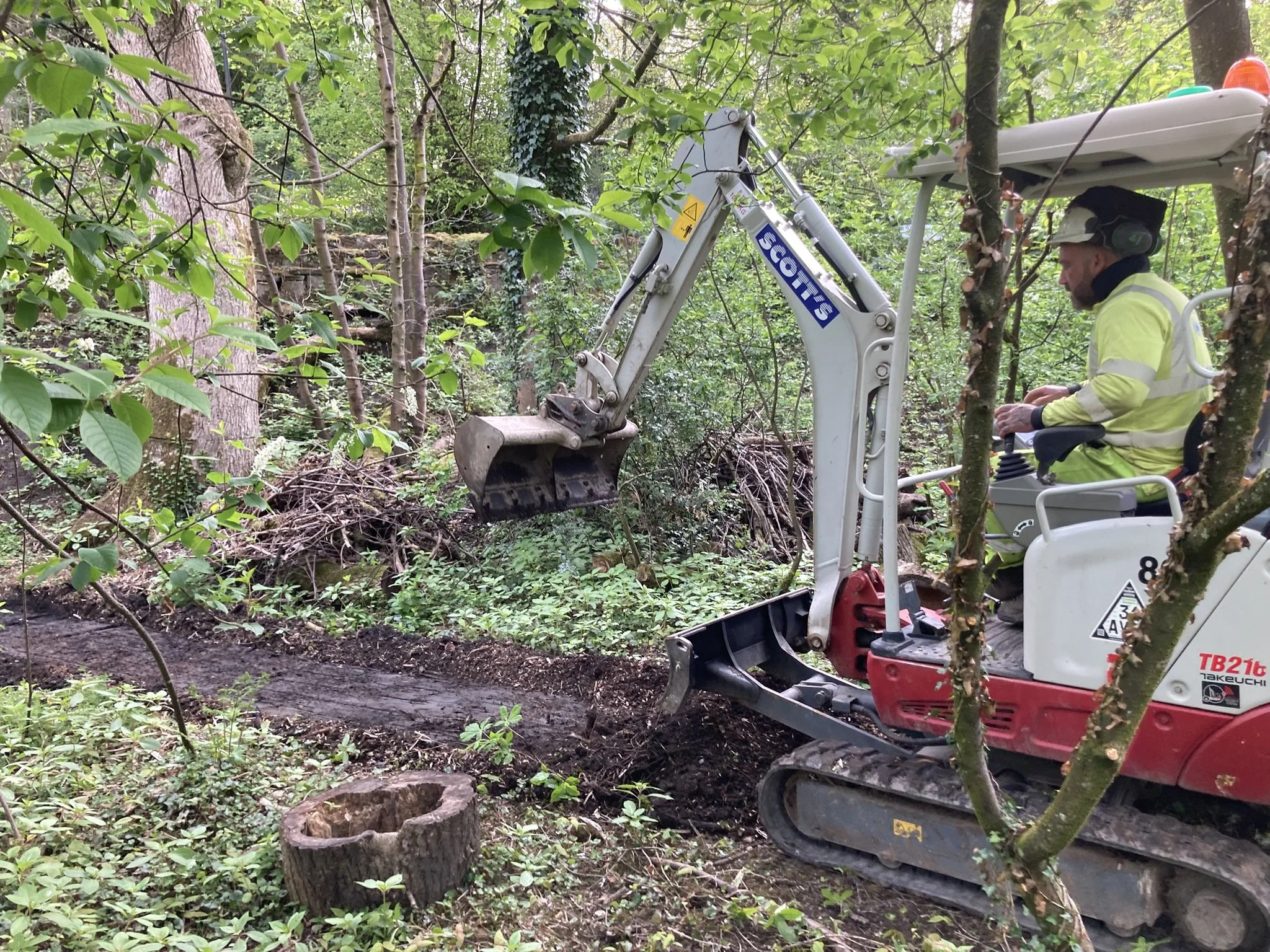 A worker operating a small white and red excavator in a dense forest area, clearing a path or trail through the woods.