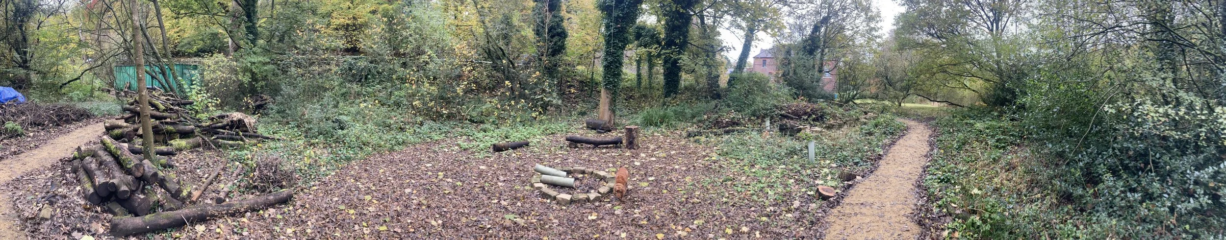 A dirt trail in a wooded area with green trees and shrubs, some logs and a small brown dog near a fire pit in the center, and a building partially visible in the background.