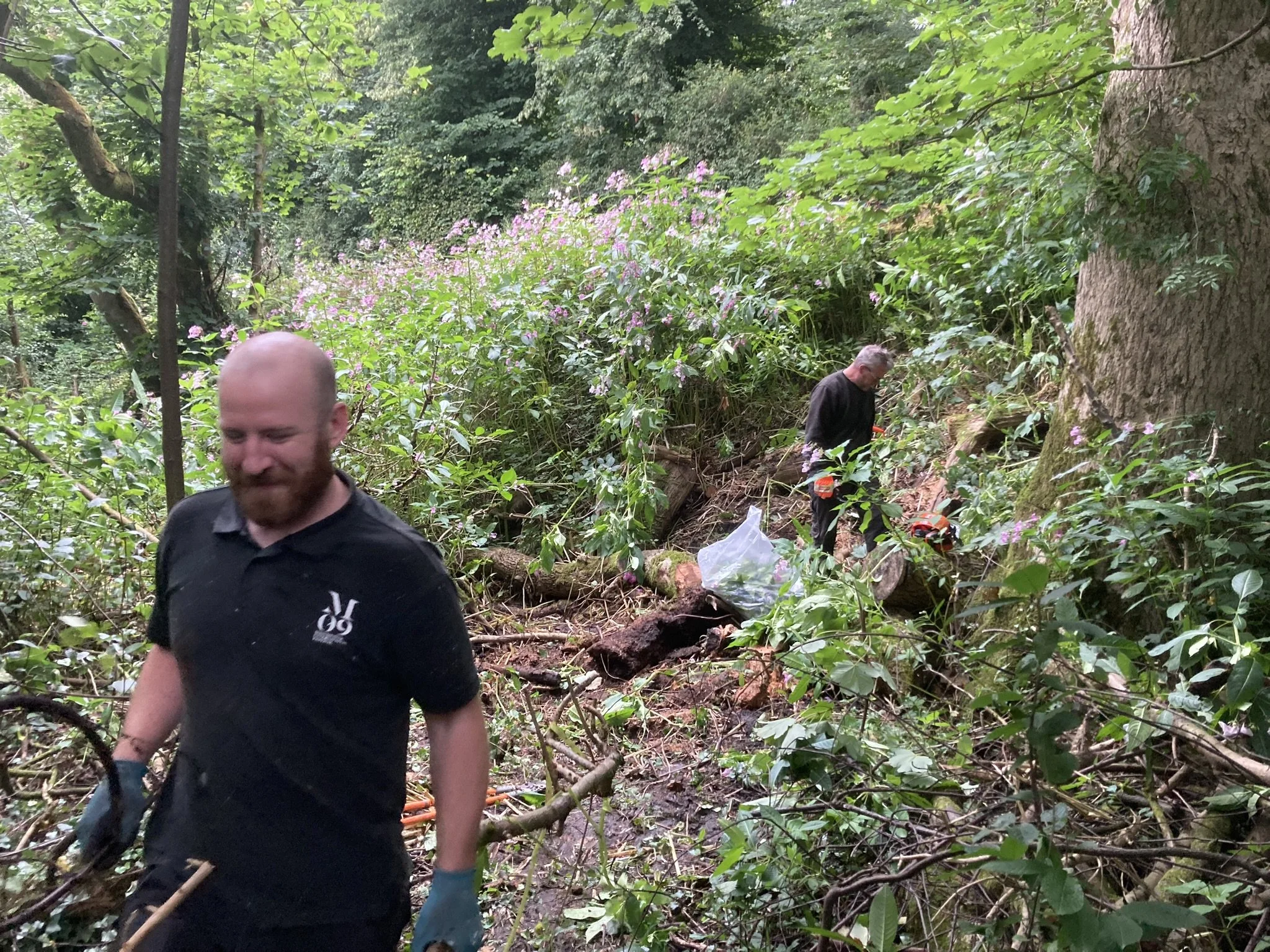 Two men working in a dense, green forest clearing fallen branches and debris, surrounded by trees and bushes with pink flowers.