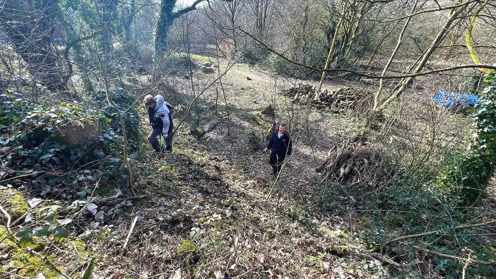 Two people walking through a wooded area with leafless trees and bushes, sunlight filtering through the branches.